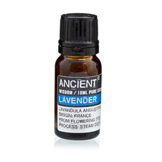 Ancient Wisdom Lavender Dilute Essential Oil - 10ml Bottle